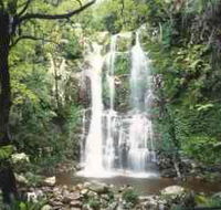 Budderoo National Park - The Falls Walk - Attractions Brisbane