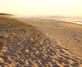 Fairy Meadow Beach - Attractions Brisbane 0