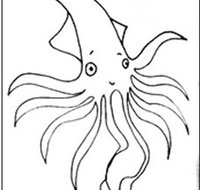 Squid Studio - Attractions Brisbane