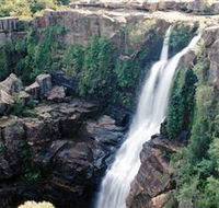 Minnamurra Rainforest Centre Budderoo National Park - Attractions Brisbane