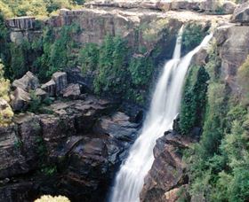Minnamurra Rainforest Centre: Budderoo National Park - Attractions Brisbane 0