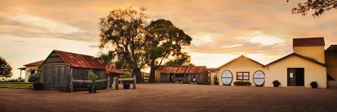 Tyrrells Vineyards - Attractions Brisbane 2