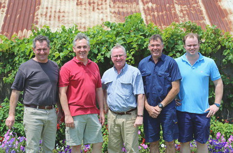 Tyrrells Vineyards - Attractions Brisbane 5