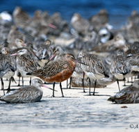 Cooloola Nature - Attractions Brisbane