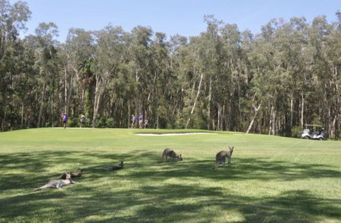 Emerald Downs Golf Course - Attractions Brisbane 4