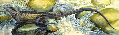 Manning Regional Art Gallery - Attractions Brisbane 4