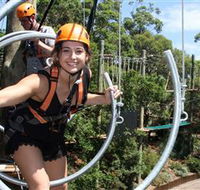 Wild Ropes at Taronga Zoo - Attractions Brisbane