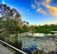 Berrinba Wetlands - Attractions Brisbane