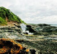 Glenrock State Conservation Area - Attractions Brisbane