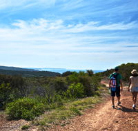 Moonee Beach trail - Attractions Brisbane