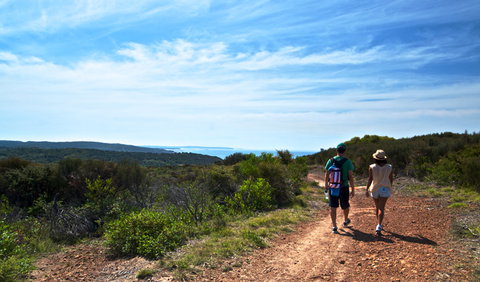 Moonee Beach Trail - Attractions Brisbane 0