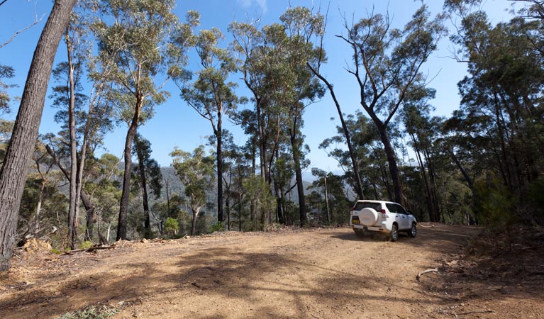 Wadbilliga NSW Attractions Brisbane
