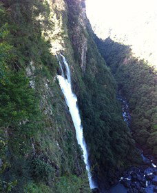 Ellenborough Falls - Attractions Brisbane 0