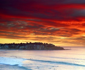 Aquabumps - Attractions Brisbane 8