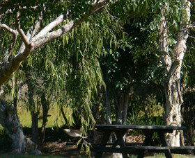 Mongogarie NSW Attractions Brisbane