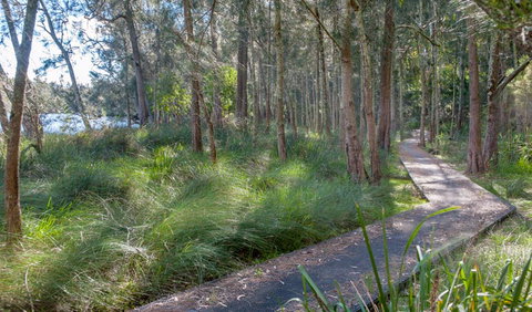 Anabranch Loop Track - Attractions Brisbane 3