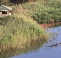 Spring Creek Bird Hide - Attractions Brisbane