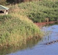 Spring Creek Wetlands Walk - Attractions Brisbane