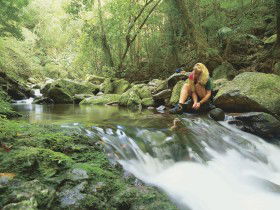 Dave's Creek Circuit - Attractions Brisbane 0