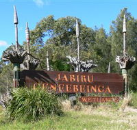 Jabiru Geenbeebeinga Wetlands - Attractions Brisbane