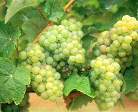 Marlee NSW Attractions Brisbane