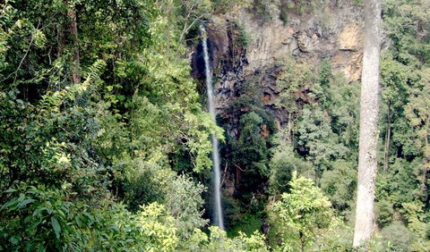Boorganna Nature Reserve - Attractions Brisbane 2