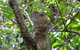 Boorganna Nature Reserve - thumb 3