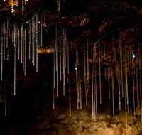 Tamborine Mountain Glow Worm Caves - Attractions Brisbane