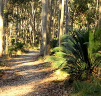 Square Head track 2 - Attractions Brisbane