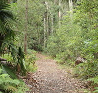 Lake walking track - Attractions Brisbane