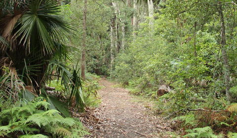 Lake Walking Track - Attractions Brisbane 0