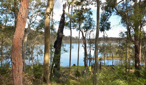 Lake Walking Track - Attractions Brisbane 1