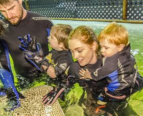 Bobs Farm NSW Attractions Brisbane