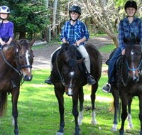 Kings Creek Saddle Club - Attractions Brisbane