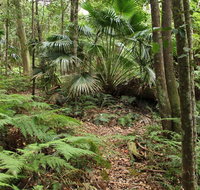 Durras Lake Discovery trail - Attractions Brisbane