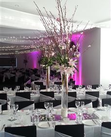 Cookabarra Restaurant And Function Centre - Tailor Made Fish Farms - Attractions Brisbane 5