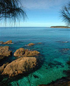 Moruya Kayaking Trail - Attractions Brisbane 1