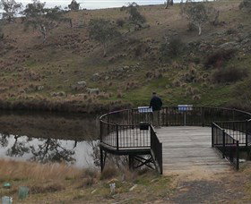 Bombala Platypus Reserve - Attractions Brisbane 0
