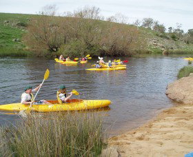 Bombala Platypus Reserve - Attractions Brisbane 1