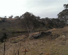 Bombala Platypus Reserve - Attractions Brisbane 3