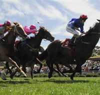 Moruya Racecourse - Attractions Brisbane