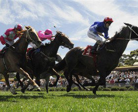 Moruya Racecourse - Attractions Brisbane 0