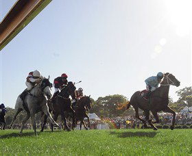 Moruya Racecourse - Attractions Brisbane 1