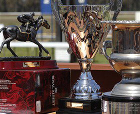 Moruya Racecourse - Attractions Brisbane 4
