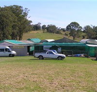 Tinonee Orchid Nursery - Attractions Brisbane