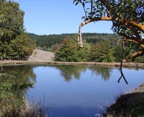 Oak Grove Walk, Balingup - Attractions Brisbane 0