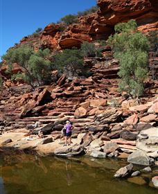 Inland Gorges - Attractions Brisbane 2