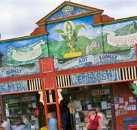 HEMP Embassy - Attractions Brisbane