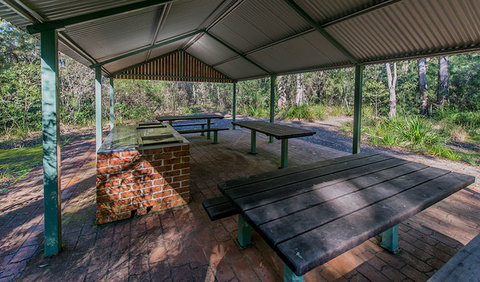 Brimbin Nature Reserve - Attractions Brisbane 1