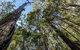 Brimbin Nature Reserve - thumb 3